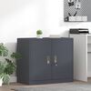 vidaXL Armoire de rangement Anthracite 80 x 40 x 70 cm Acier