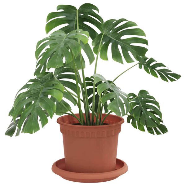 Affichage de l&rsquo;image produit 3 sur 12