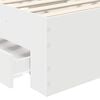 Vignette du produit 10 sur 15