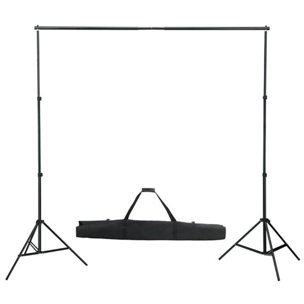 vidaXL Kit de studio photo bo&icirc;tes &agrave; lumi&egrave;re toile de fond r&eacute;flecteur