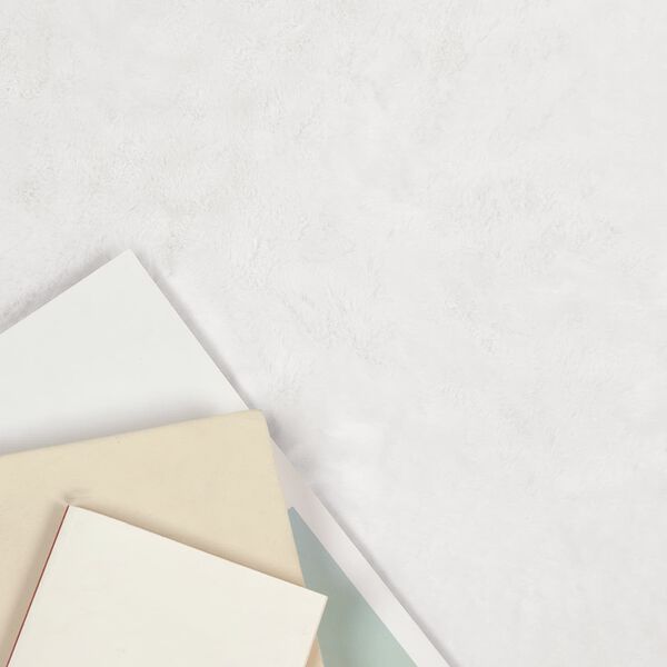 vidaXL Tapis en Fourrure Synth&eacute;tique de Lapin Olite Blanc 80 x 120 cm