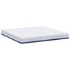 vidaXL Matelas Blanc et Bleu 180 x 200 cm Tissu jacquard