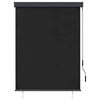 vidaXL Store roulant d'ext&eacute;rieur 120 x 250 cm Anthracite