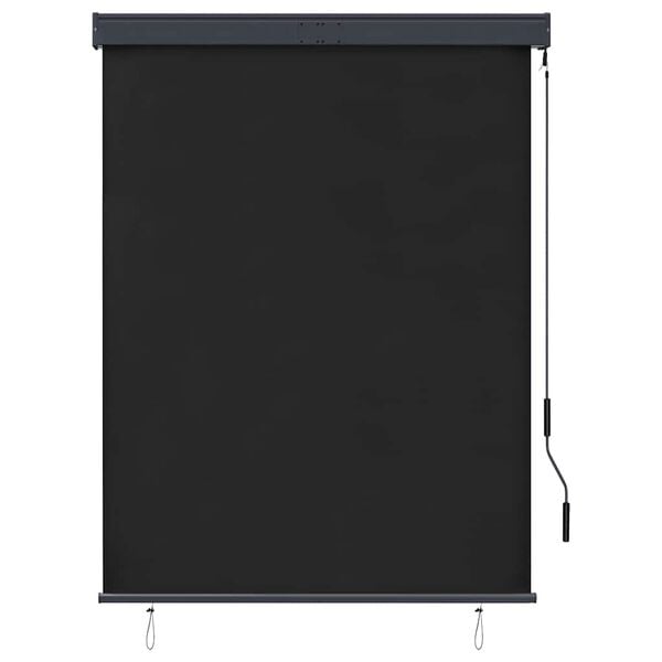 vidaXL Store roulant d'ext&eacute;rieur 120 x 250 cm Anthracite
