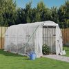 vidaXL Serre avec cadre en acier blanc 8 m&sup2; 4x2x2 m