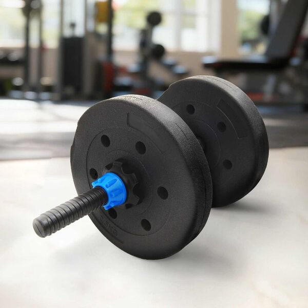 vidaXL Plaques de poids 4 pcs Noir Ø 21,5 x 3,8 cm