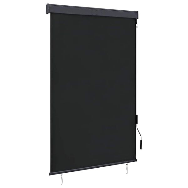 vidaXL Store roulant d'ext&eacute;rieur 120 x 250 cm Anthracite