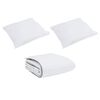 vidaXL Duvet d'hiver avec oreiller 3 pcs Blanc Plume de canard