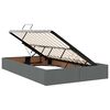 vidaXL Lit avec rangement et LED Gris fonc&eacute; 120 x 190 cm tissu