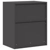 vidaXL Armoire de rangement Noir 60 x 40 x 70 cm Acier