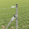 Vignette du produit 4 sur 15