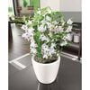LECHUZA Jardinière CLASSICO LS 43 ALL-IN-ONE blanc brillant 16080