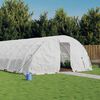 vidaXL Serre avec cadre en acier blanc 120 m&sup2; 24x5x2,3 m