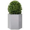 vidaXL Jardini&egrave;res 2 pcs hexagone 46x40x45 cm acier galvanis&eacute;