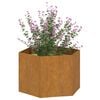 vidaXL Jardinière Rouillé 60x60x45 cm Acier corten