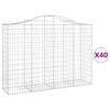 vidaXL Paniers &agrave; gabions arqu&eacute;s 40 pcs 200x50x140/160 cm Fer galvanis&eacute;