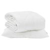 vidaXL Duvet d'&eacute;t&eacute; simple avec oreiller 2 pc Blanc Microfibre