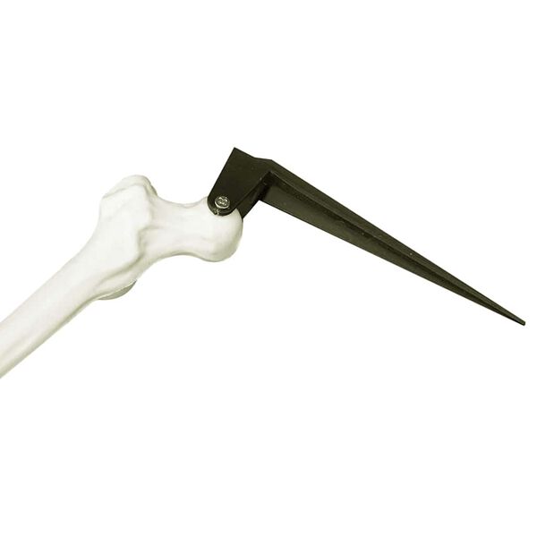 vidaXL Squelette d'Halloween Blanc 45,5 x 13 cm Plastique