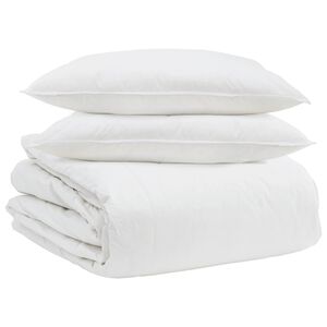 vidaXL Ensemble de Duvet avec oreiller 3 pc Blanc Plume de canard