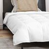 vidaXL Duvet 2-en-1 avec oreiller 2 pcs Blanc Plume de canard