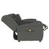 vidaXL Fauteuil de massage inclinable porte-gobelet 2places gris clair