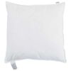vidaXL Oreiller avec oreiller 2 pcs Blanc 65 x 65 cm Plume
