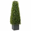 vidaXL Tour en Herbe Eucalyptus Vert 27 x 27 x 90 cm Plastique