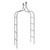 vidaXL Arches de jardin 2 pcs Noir 120x38x260 cm Acier
