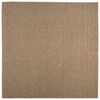 vidaXL Tapis d'int&eacute;rieur et d'ext&eacute;rieur AGIRA Naturel 120 x 120 cm