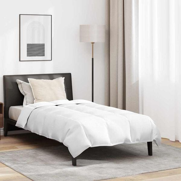 vidaXL Duvet d'été simple avec oreiller 2 pcs Blanc Plume de canard