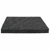 vidaXL Tapis en Caoutchouc Noir Caoutchouc