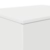 vidaXL Armoire de rangement 2 pcs Blanc 127 x 41 x 40 cm