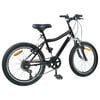 vidaXL V&eacute;lo pour Enfants 20 Pouces 6-Speed