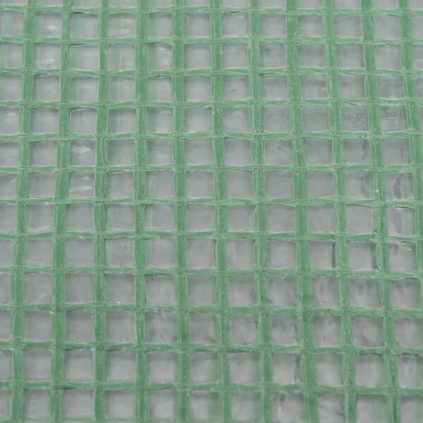 vidaXL Couverture de remplacement de serre (0,5 m&sup2;) 50x100x190 cm Vert