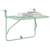 vidaXL Table Suspendue de Balcon Vert menthe 60 x 39 x 65 cm Acier