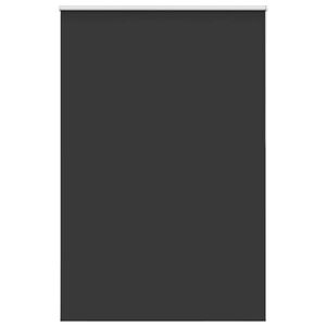 vidaXL Store enrouleur occultant largeur du tissu 151,6 cm polyester