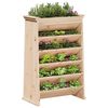 vidaXL Jardini&egrave;re de plantes aromatiques 6 niveaux bois de pin massif