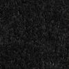 vidaXL Tapis de porte 5 pcs noir 40x60 cm fibre de coco touffeté
