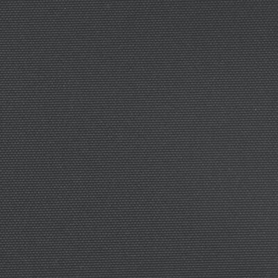 vidaXL Auvent latéral rétractable noir 100x500 cm