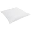 vidaXL Duvet d'hiver avec oreiller 2 pcs Blanc Plume de canard