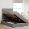 vidaXL Lit de Rangement Taupe 120 x 190 cm Cuir synthétique