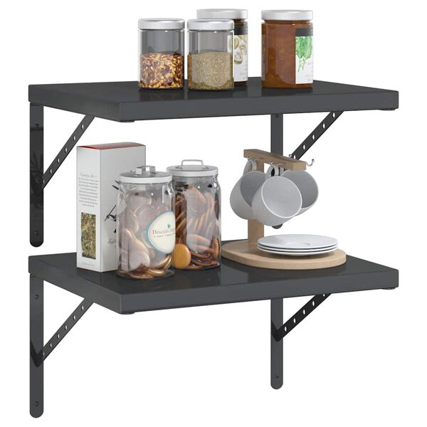 vidaXL &Eacute;tag&egrave;res murales 2 pcs 50x40x3 cm noir acier inoxydable