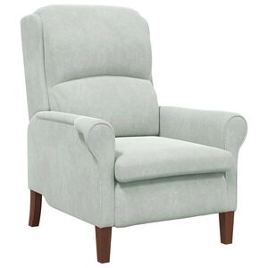 vidaXL fauteuil Gris clair Velours