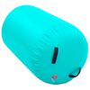 vidaXL Rouleau gonflable de gymnastique avec pompe 100x60 cm PVC Vert