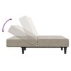 vidaXL Canap&eacute;-lit &agrave; 2 places gris clair velours