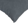 vidaXL Coussins de canap&eacute; 2 pcs Gris fonc&eacute; 50 x 50 cm
