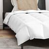 vidaXL Duvet d'été simple avec oreiller 2 pcs Blanc Plume de canard