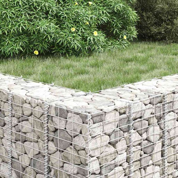 vidaXL Lits sur&eacute;lev&eacute;s en gabion 4 pcs 30x30x50/100/150/200 cm Fer