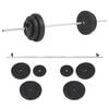 vidaXL Ensemble de halt&egrave;res 30 kg