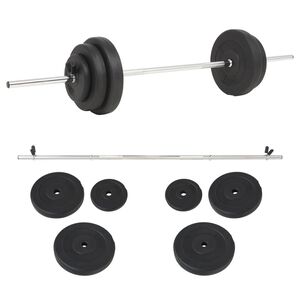 vidaXL Ensemble de halt&egrave;res 30 kg